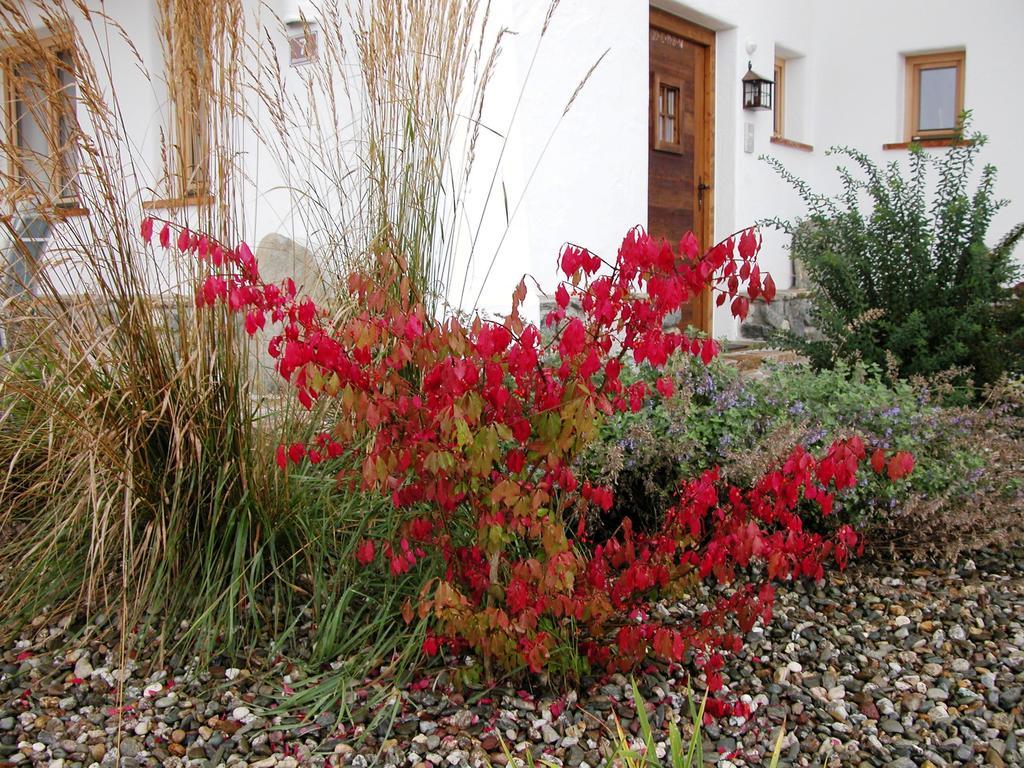 Panorama Villa Victoria Hopfgarten im Brixental Exterior foto